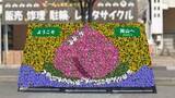 「花でおもてなし　JR岡山駅にウェルカム花壇を設置　岡山」の画像1