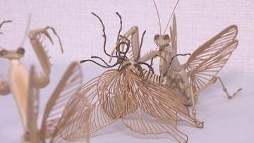 さぬき市で8月4日から竹細工の作品展示会　竹で作った昆虫や竹かごなど展示　香川