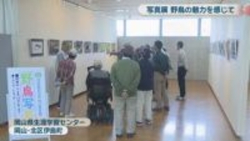 野鳥の魅力を感じて　愛鳥週間に合わせて岡山市で写真展　生息が危ぶまれる猛禽類など約50点