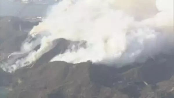 「STOP山火事」著名人がSNSなどで啓発動画を発信　岡山