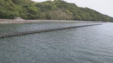 「香川県民の日」創設記念　東かがわ市で「安戸池まつり」　ひけた鰤の解体ショーなど