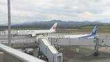 「お盆期間　高松と東京を結ぶ空の便の搭乗率は前年を下回る　連休が分散した曜日配列の影響か」の画像1