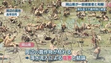 昭和水門の海水流入問題　岡山県が一部の被害者と和解　賠償金約800万円支払う