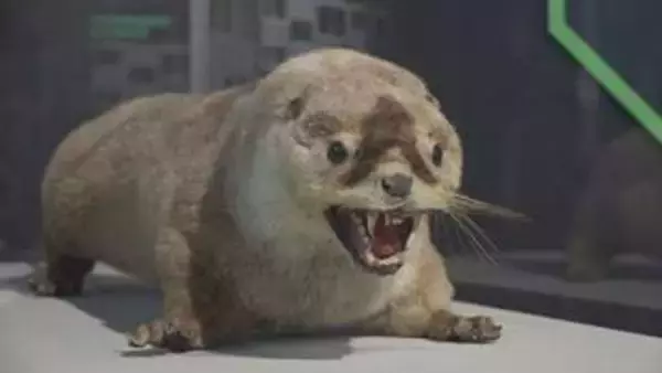 二ホンカワウソはなぜ絶滅したのか　生き物との共生を考える講演会　香川・四国水族館