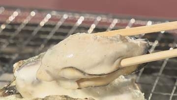 夏でも楽しめる！カキ小屋の海鮮バーベキュー　アヒージョやカンカン焼きも　香川【ほっとマルシェ】