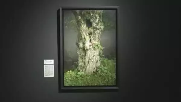 写実絵画の殿堂「ホキ美術館」の所蔵品が香川に　県立ミュージアムでコレクション展