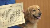 「嘱託警察犬のルイくんがお手柄！行方不明の90代女性を発見　岡山・倉敷市」の画像1