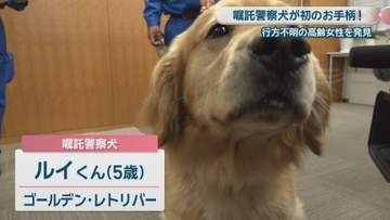嘱託警察犬のルイくんがお手柄！行方不明の90代女性を発見　岡山・倉敷市