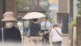 「14日も暑さに注意「熱中症警戒アラート」　13日に続いて　香川県」の画像1
