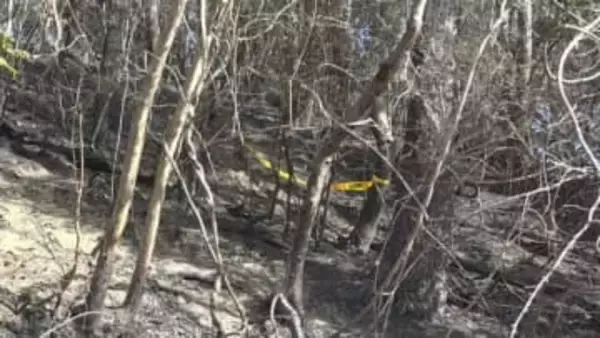 田んぼや山林など約2ha焼ける　山林から女性の遺体　岡山・美咲町