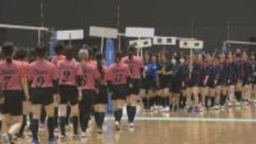 岡山市でウィメンズバレーボール大会　コロナ禍明け以降で最多の約600人が出場