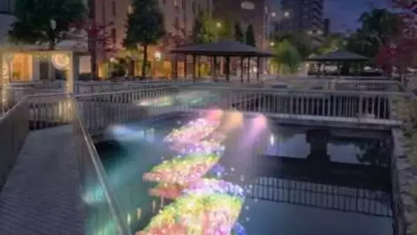 夏の夜に咲く華　西川緑道公園ライトアップ　7月24日から　岡山市