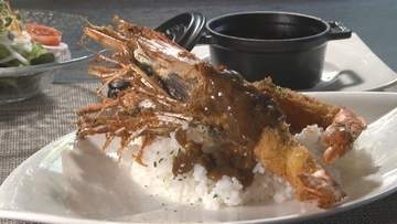 カレーの食べ比べで地域活性化！里庄町でスタンプラリー　6月から　岡山