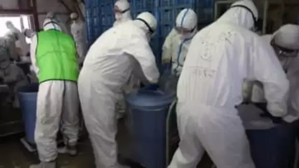 東かがわ市で発生した高病原性鳥インフルエンザ　農場のニワトリの殺処分が完了