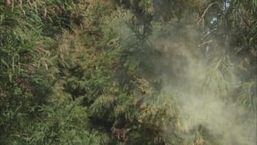 花粉症などアレルギー疾患の最新治療を学ぶ講座 参加者募集　3月8日開催　岡山