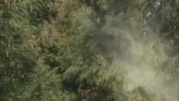 花粉症などアレルギー疾患の最新治療を学ぶ講座 参加者募集　3月8日開催　岡山