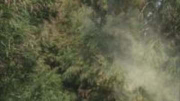 花粉症などアレルギー疾患の最新治療を学ぶ講座 参加者募集　3月8日開催　岡山