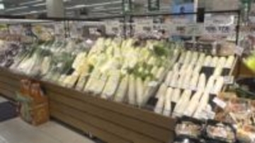 2025年12月の四国の百貨店・スーパー売り上げ　飲食料品が14カ月連続で前年上回る