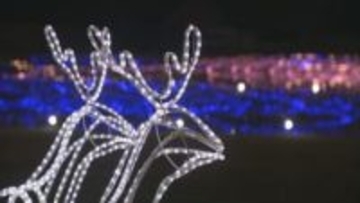 国営讃岐まんのう公園で29日からイルミネーション　テーマは「空と海をむすぶ光」 　香川