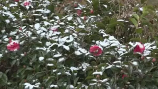11日(日）～12日(月)に強い寒気が流れ込む見込み　積雪や交通障害に注意を　岡山・香川