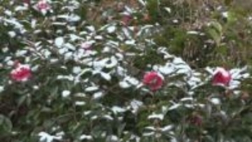 11日(日）～12日(月)に強い寒気が流れ込む見込み　積雪や交通障害に注意を　岡山・香川