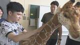 「盲学校に「さわれる動物園」が開園　障害者支援などに取り組む男性がリアルな模型を寄贈　岡山市」の画像1