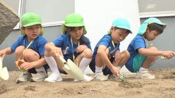 幼稚園児がヒマワリの種を植え交通安全願う　事故死の4歳児が遺した種が全国に　香川・丸亀市