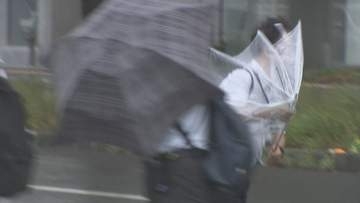 9日の大雨被害　農産物810万円　河川5100万円など　香川県