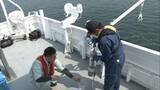 「瀬戸内海の水質調査　沿岸11府県が実施　香川県は10地点で調査」の画像1