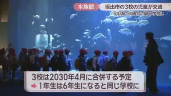 「ちょっとだけ緊張」統合予定の3校の児童が四国水族館で合同学習　イルカやペンギンを見学