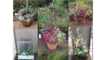 秋色を楽しむコンテナガーデン展　さぬきフラワーガーデンで28日まで　高松市