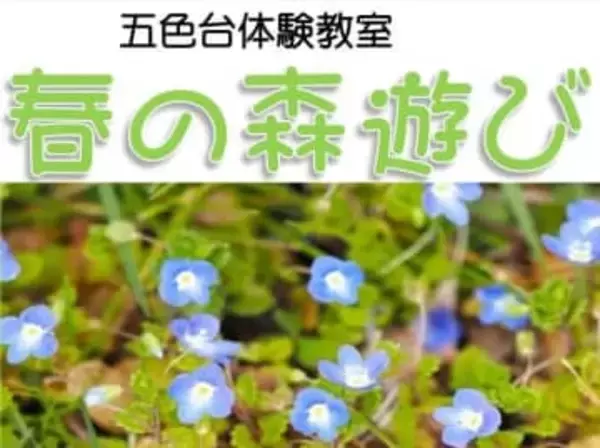 森を歩いて春をみつけよう！五色台ビジターセンター　香川