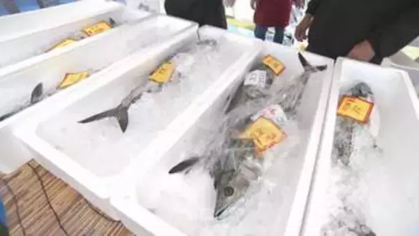 岡山魚フェスタ　ノリやカニ汁を無料で　岡山市内4漁協など開催