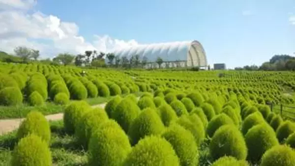 夏の昆虫教室など　国営讃岐まんのう公園でサマーフェスタ開催　香川