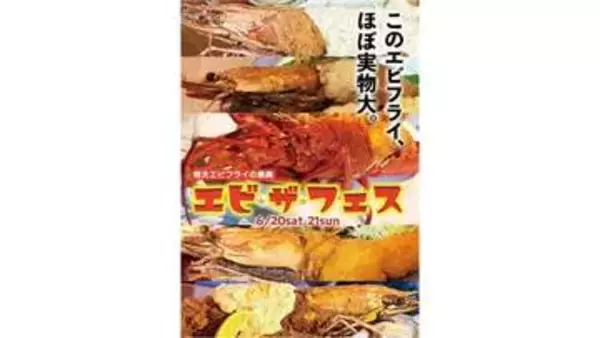 味もインパクトも大満足！倉敷市で「特大えびフライ」のイベント開催　6月20日と21日　岡山