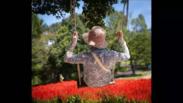 赤磐市のデジタルフォトコンテスト 入賞作品が決定　最優秀賞は「ドイツの森」の写真　岡山