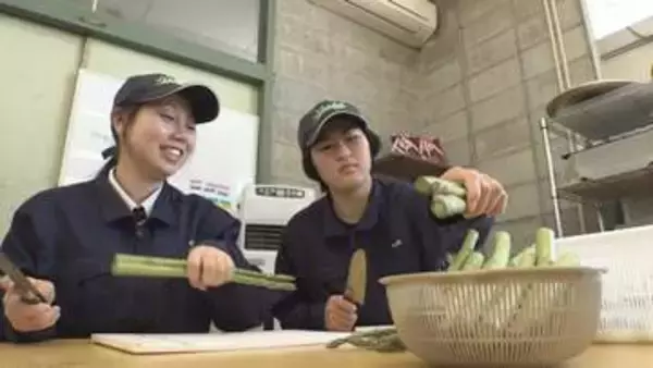 【特集】アスパラガスの捨てられる部分をお茶に　高校生が作った「アスパラ茶」を販売　香川
