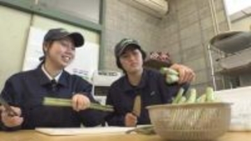 【特集】アスパラガスの捨てられる部分をお茶に　高校生が作った「アスパラ茶」を販売　香川