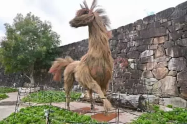 国営讃岐まんのう園のコキアの枝で制作　2026年の干支「午」のオブジェがお出迎え　香川