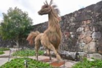 国営讃岐まんのう園のコキアの枝で制作　2026年の干支「午」のオブジェがお出迎え　香川