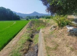 下草火災で99歳男性が死亡　野焼きの火が燃え移ったか　香川・丸亀市