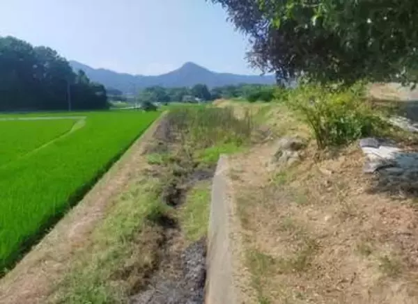 下草火災で99歳男性が死亡　野焼きの火が燃え移ったか　香川・丸亀市