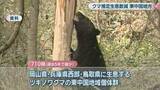 「ツキノワグマの推定生息数が過去5年で最少　岡山県は狩猟自粛を要請する方針」の画像1