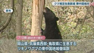 ツキノワグマの推定生息数が過去5年で最少　岡山県は狩猟自粛を要請する方針