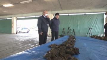 養殖カキの大量死問題　岡山県・伊原木知事が瀬戸内市の漁協を視察