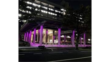 「女性に対する暴力をなくす運動」　岡山県庁・岡山城など紫にライトアップ