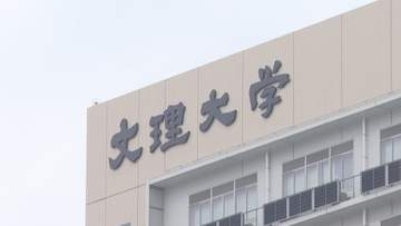 ビスフェノールAなど　海馬の神経回路への影響を可視化　徳島文理大など