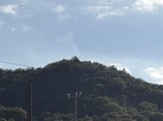 多度津町西白方で山林火災　消防車10台・香川県の防災ヘリコプター1機で消火活動