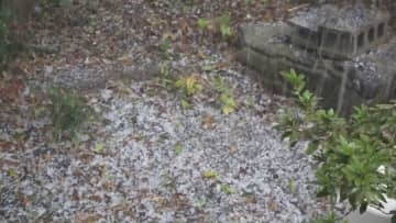 岡山・津山市で「ひょう」　大気の状態が不安定となり