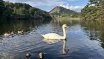 鳥・コイ用の餌の自動販売機　玉野市の深山公園に設置　岡山